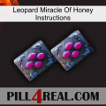 Leopard Miracle Of Honey Instructions 01